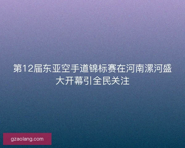 第12届东亚空手道锦标赛在河南漯河盛大开幕引全民关注