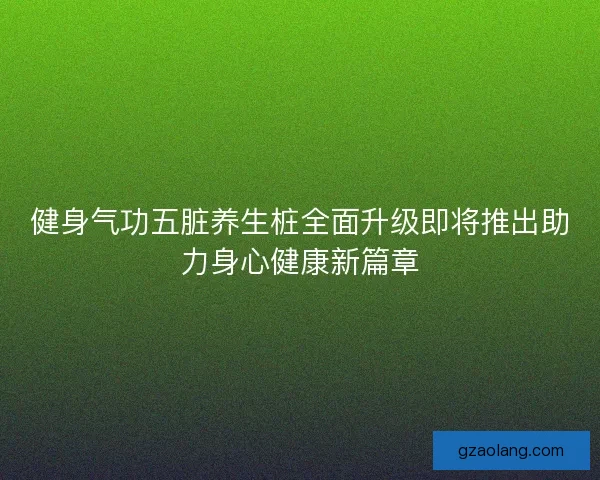 健身气功五脏养生桩全面升级即将推出助力身心健康新篇章