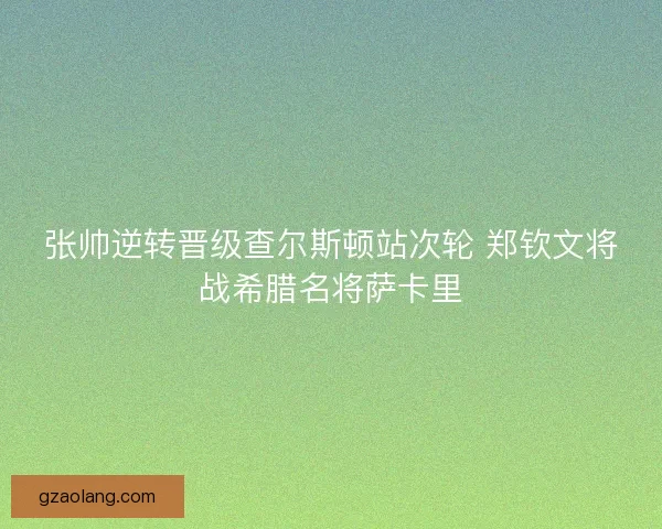 张帅逆转晋级查尔斯顿站次轮 郑钦文将战希腊名将萨卡里