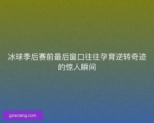 冰球季后赛前最后窗口往往孕育逆转奇迹的惊人瞬间